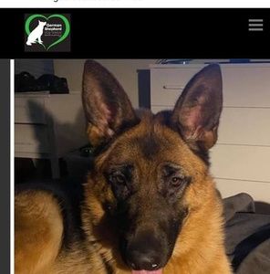 Meet your Posher, Ruth